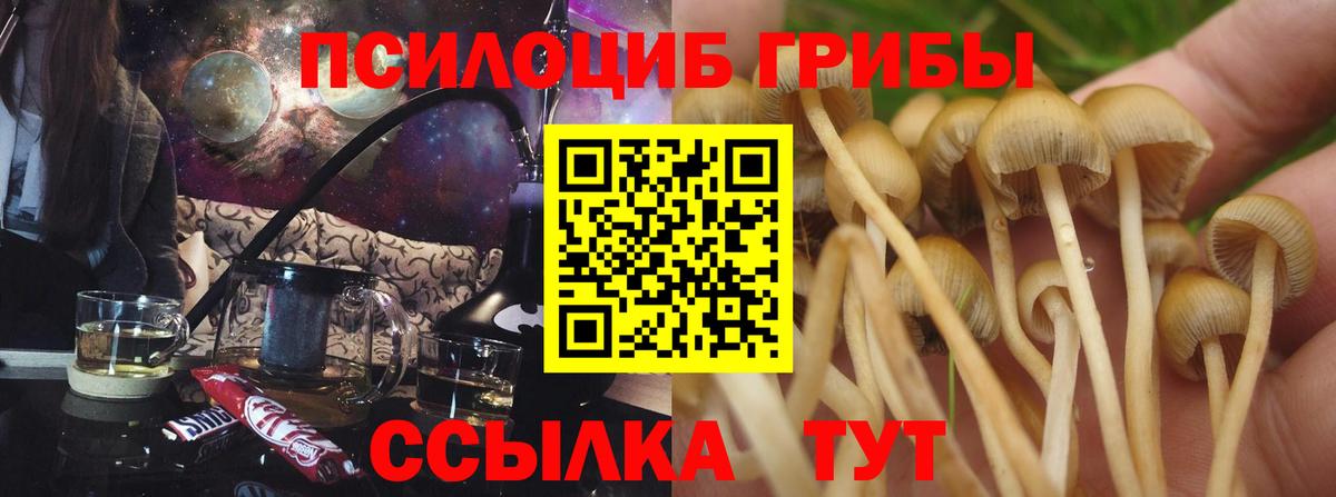 Псилоцибиновые грибы Psilocybine cubensis  Вход с VPN  Рыбинск 